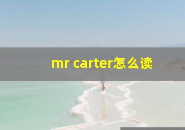 mr carter怎么读